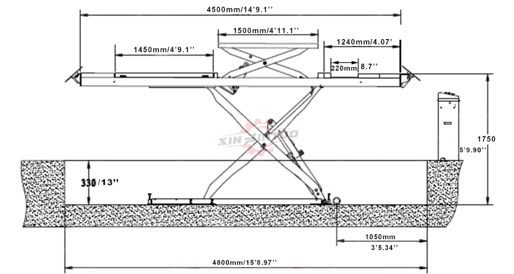 XIN1 (1)